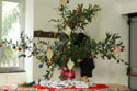 le foto del magico dolce 2012