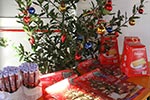 Magico Dolce Natale 2016