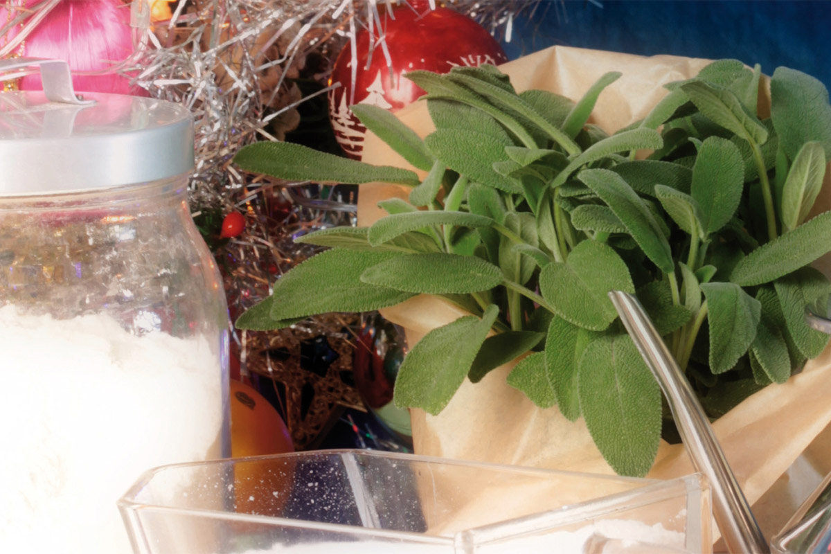 La salvia: ingrediente per il magico dolce di Natale