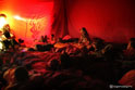 la notte sotto la tenda