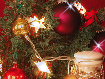 Magico Dolce Natale