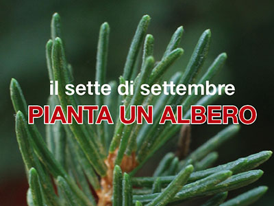 il 7 settembre pianta un albero