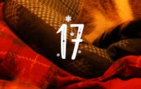 17 giorno